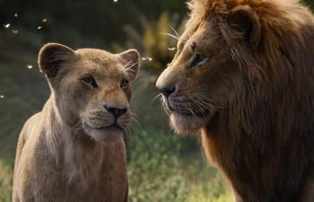 Découvrez de magnifiques images du Roi lion