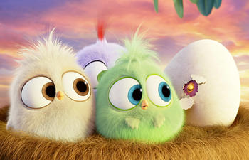 Box-office nord-américain : Seulement 38 millions $ pour The Angry Birds Movie